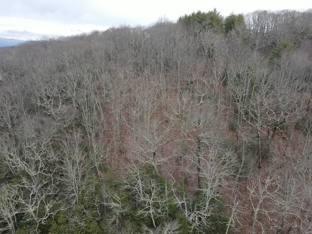 SR1121 Breedlove Rd, Glenville, NC 28736