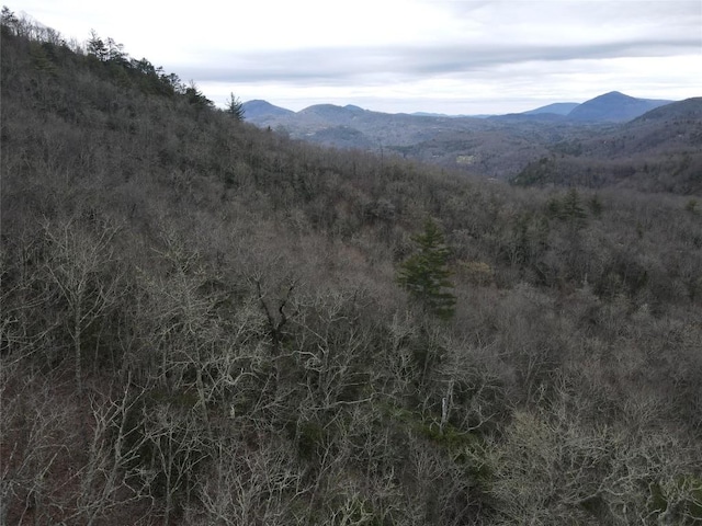 SR1121 Breedlove Rd, Glenville, NC 28736