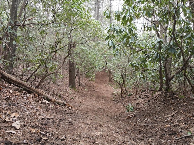 SR1121 Breedlove Rd, Glenville, NC 28736