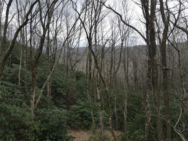 SR1121 Breedlove Rd, Glenville, NC 28736