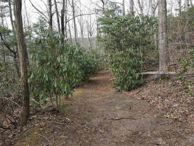 SR1121 Breedlove Rd, Glenville, NC 28736