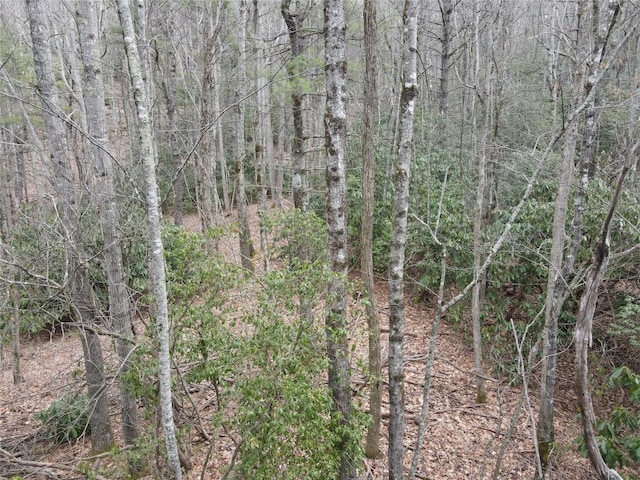 SR1121 Breedlove Rd, Glenville, NC 28736