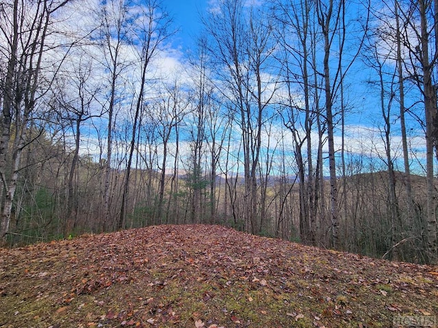 00 Willis Cove Rd, Franklin NC, 28734 land for sale