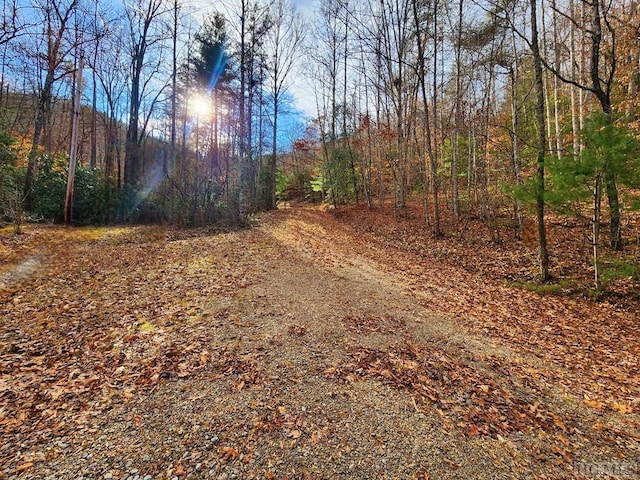 Listing photo 3 for 00 Willis Cove Rd, Franklin NC 28734