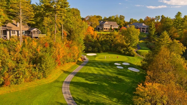 view of community featuring a lawn