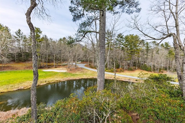 exterior space featuring a water view and a yard