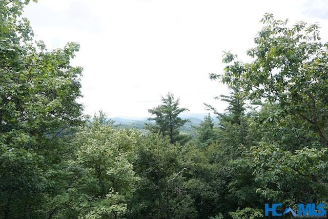 0 Cowee Ridge Rd, Highlands NC, 28741 land for sale