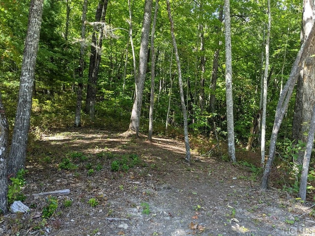 Listing photo 3 for LOT156 Lonesome Valley Rd, Sapphire NC 28774