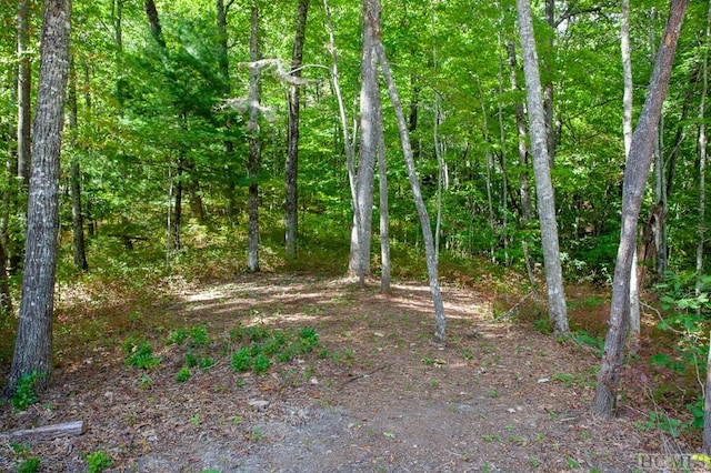 Listing photo 2 for LOT156 Lonesome Valley Rd, Sapphire NC 28774