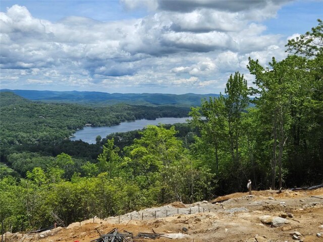 341 Mills Creek Pt, Lake Toxaway, NC 28747 - photo 1