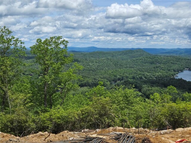 341 Mills Creek Pt, Lake Toxaway, NC 28747 - photo 3