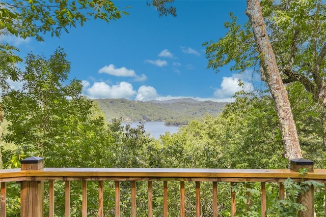 471 Rivard Rd, Glenville, NC 28736 - photo 62