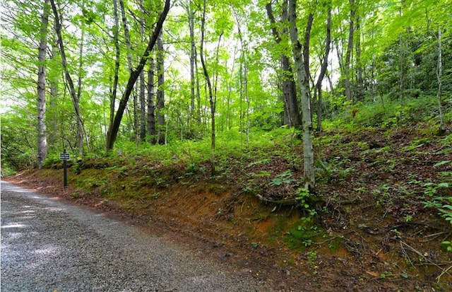 On Hidden Springs Road, Highlands NC, 28741 land for sale