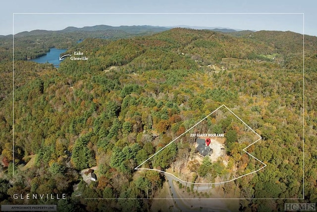 drone / aerial view featuring a water and mountain view