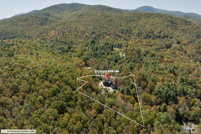 bird's eye view with a mountain view