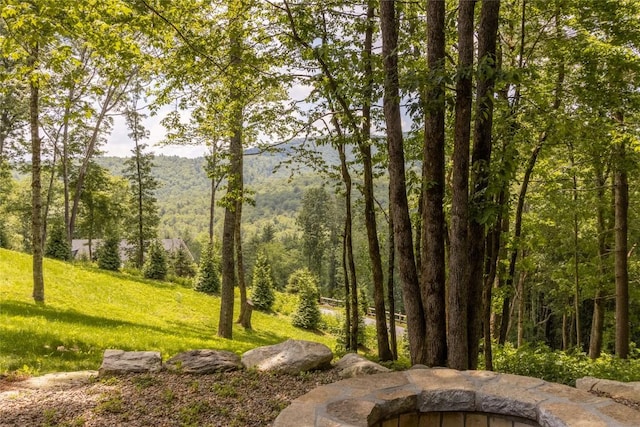 237 Glassy Rock Ln, Glenville, NC 28736 - surrounding community featuring a wooded view, an outdoor fire pit, and a lawn