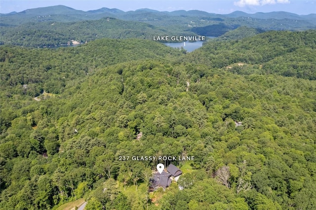 237 Glassy Rock Ln, Glenville, NC 28736 - bird's eye view of a forest