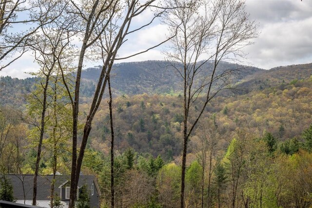 view of mountain feature featuring a wooded view