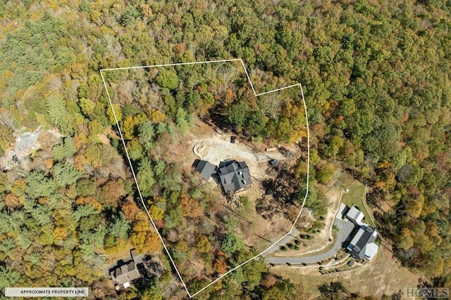 bird's eye view with a view of trees