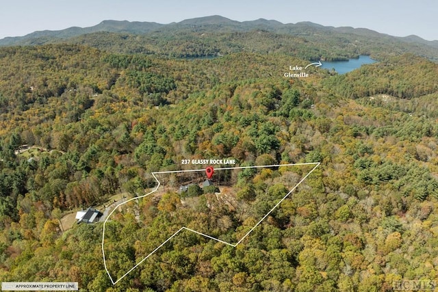 bird's eye view featuring a water and mountain view