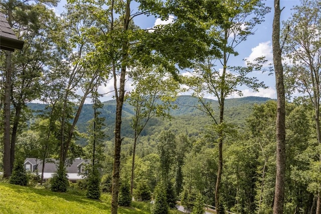 237 Glassy Rock Ln, Glenville, NC 28736 - water view featuring a heavily wooded area and a mountain backdrop