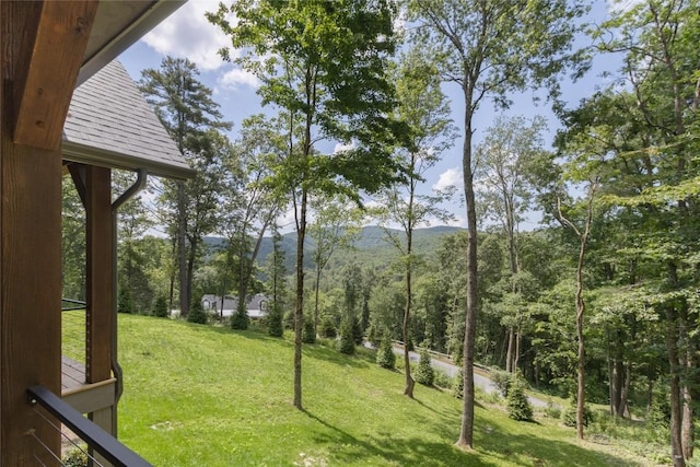 237 Glassy Rock Ln, Glenville, NC 28736 - view of green lawn featuring a mountain view and a forest view