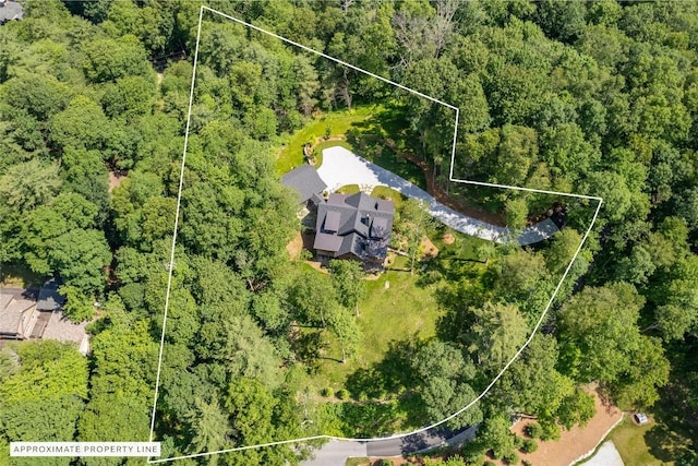 237 Glassy Rock Ln, Glenville, NC 28736 - aerial view of property's location with property boundaries highlighted and a forest