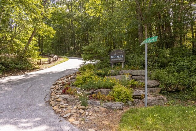 237 Glassy Rock Ln, Glenville, NC 28736 - view of home's community with a forest view