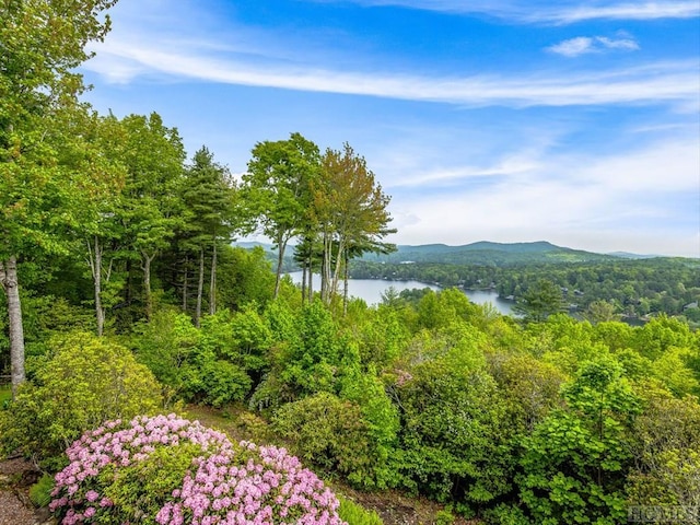 property view of mountains with a water view