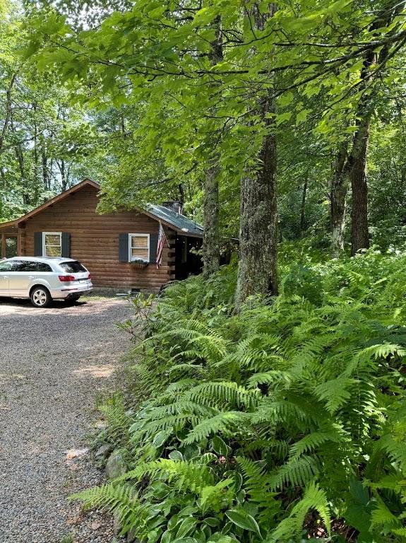 view of home's exterior with driveway