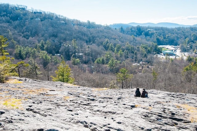 view of mountain backdrop with a forest