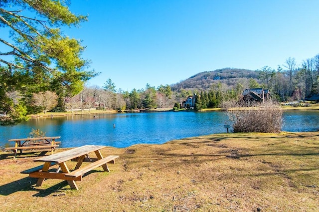 water view with mountains and a heavily wooded area