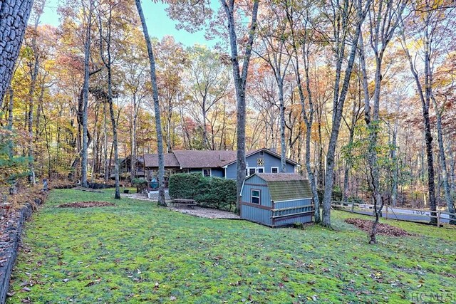 view of yard with a storage shed