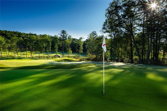 35 Creekwood Ct, Highlands, NC 28741 - view of property's community featuring a putting green and view of golf course
