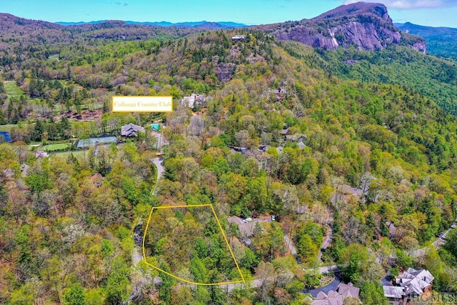 88 Lost Trl, Highlands, NC 28741 - aerial overview of property's location featuring a forest, property boundaries highlighted, and mountains