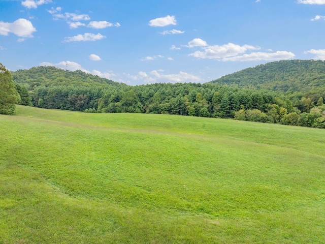 232 Dobson Rd, Franklin, NC 28734 - view of mountain backdrop with a heavily wooded area