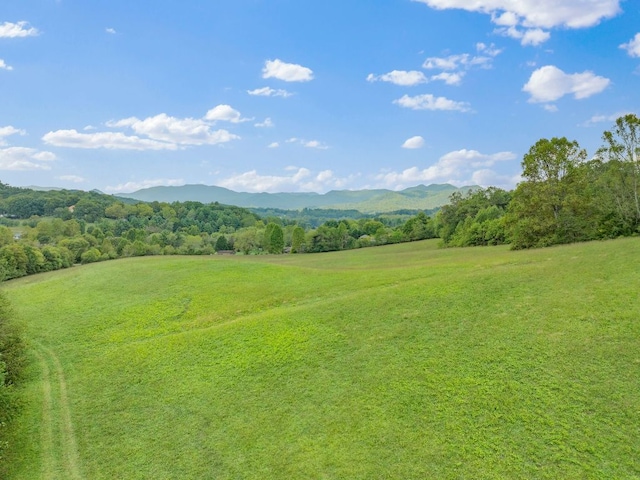 232 Dobson Rd, Franklin, NC 28734 - view of mountain background