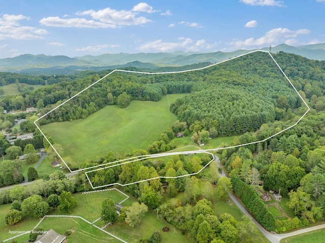 232 Dobson Rd, Franklin, NC 28734 - view of property location featuring a forest, property parcel outlined, and mountains