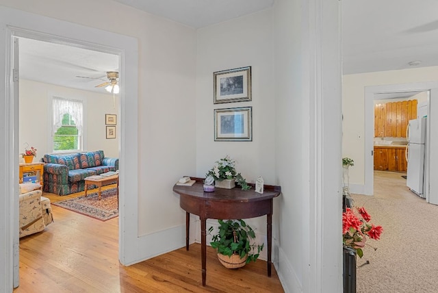 232 Dobson Rd, Franklin, NC 28734 - hall featuring light wood-style flooring and baseboards