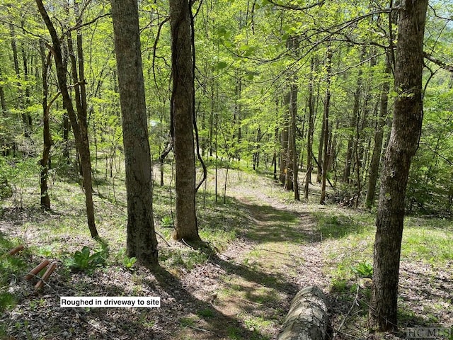 Listing photo 2 for LOT44 Blaine Branch Dr, Franklin NC 28734