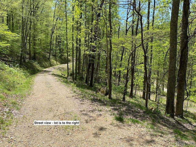 LOT44 Blaine Branch Dr, Franklin NC, 28734 land for sale