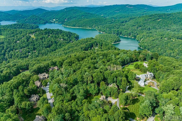 bird's eye view featuring a water and mountain view