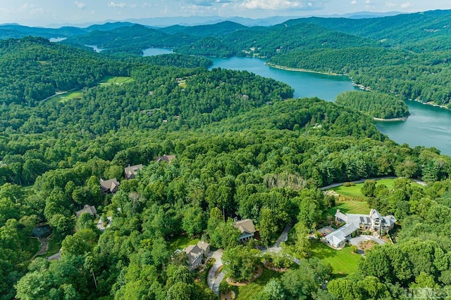 drone / aerial view featuring a water and mountain view