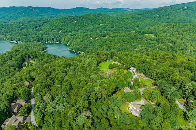 aerial view with a water and mountain view