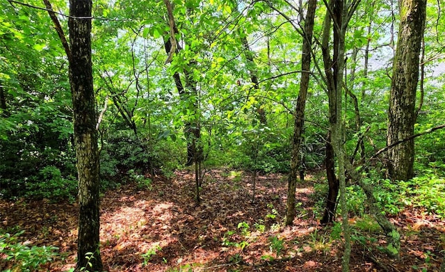 LOT2 Eagle Ridge Rd, Sapphire, NC 28774