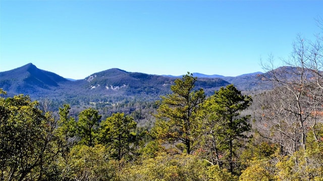 LOT2 Eagle Ridge Rd, Sapphire, NC 28774