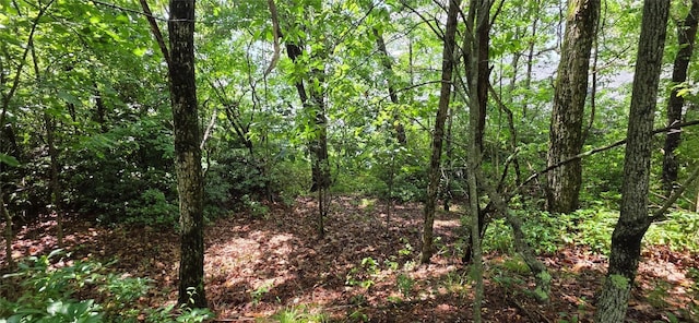 LOT2 Eagle Ridge Rd, Sapphire, NC 28774