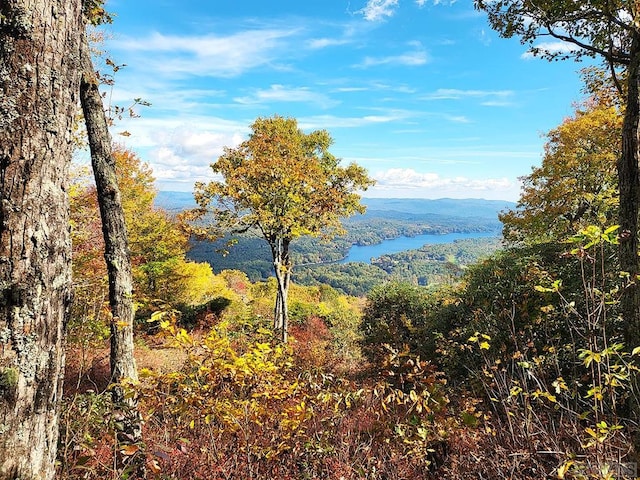 0 Spencer Ln, Lake Toxaway NC, 28747 land for sale