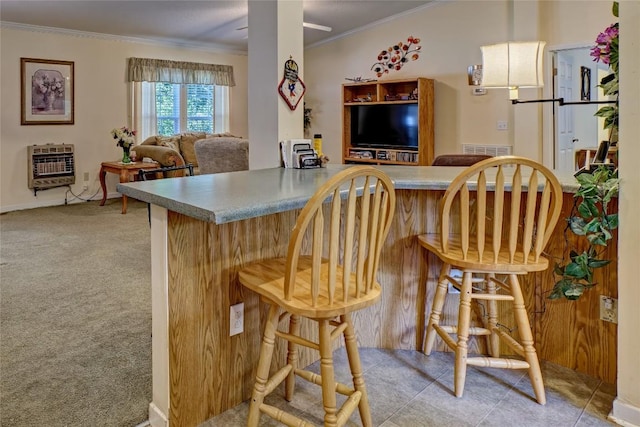 264 Cole Mountain Cir, Highlands, NC 28741 - bar with heating unit, crown molding, and light colored carpet