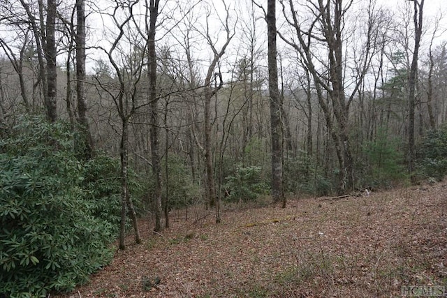 Listing photo 2 for TBD View Point Rd, Highlands NC 28741